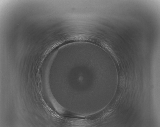 X0000080150673200612151831