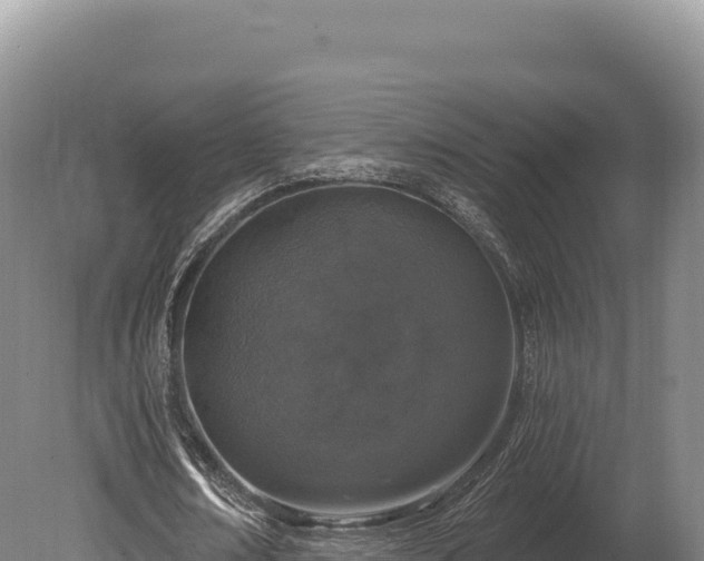 X0000080150674200612151831