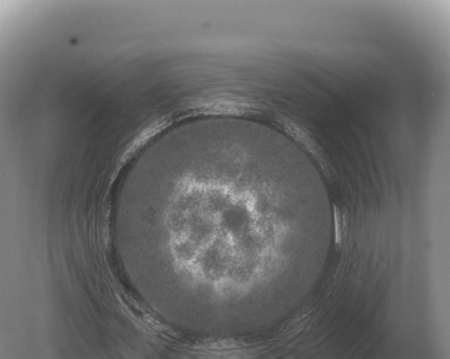 X0000080150675200612151831