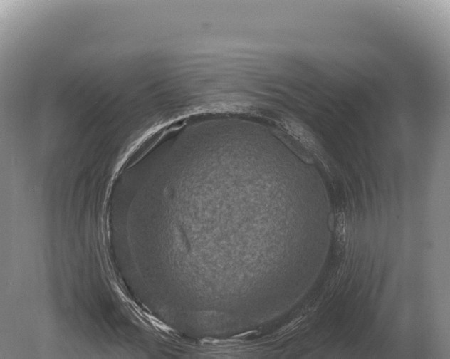 X0000080150676200612151831