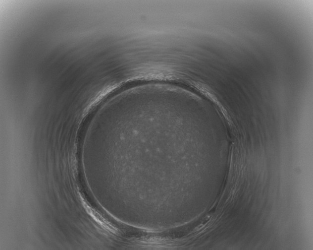 X0000080150677200612151831