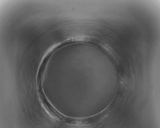 X0000080150678200612151831