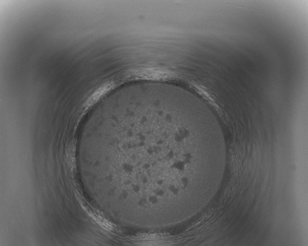 X0000080150679200612151831