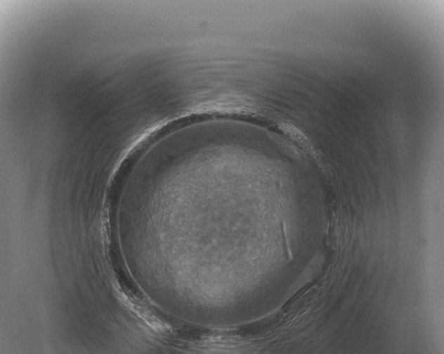 X0000080150680200612151831