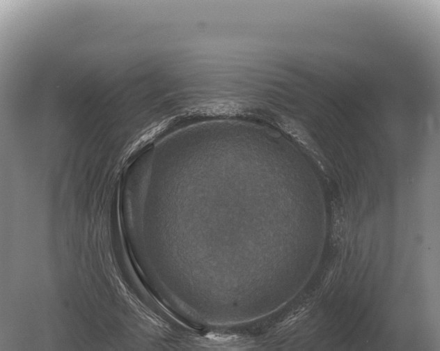 X0000080150681200612151831