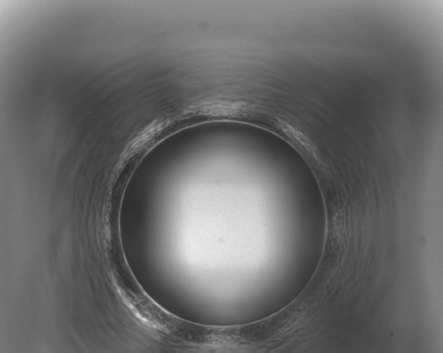 X0000080150682200612151831