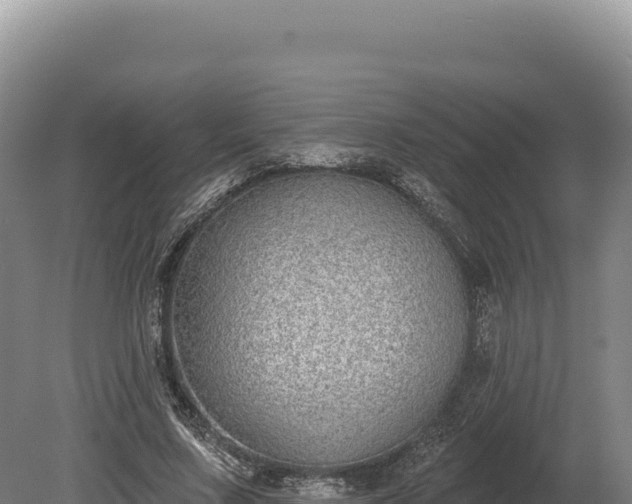 X0000080150683200612151831