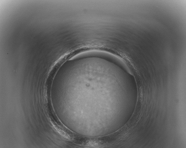 X0000080150684200612151831