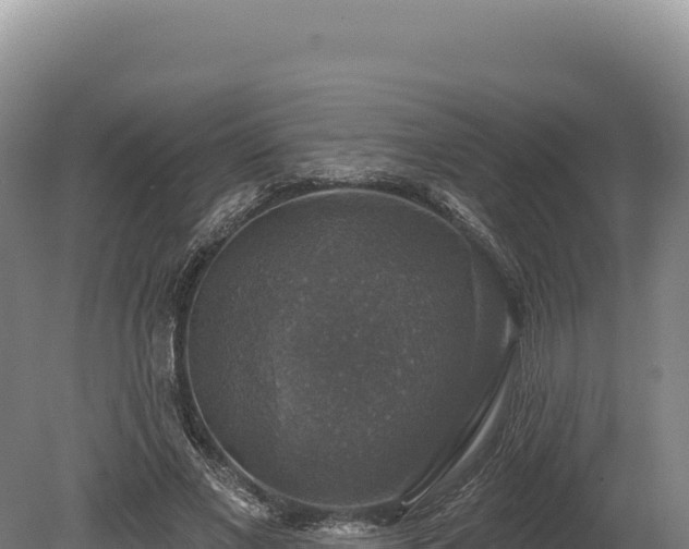 X0000080150685200612151831