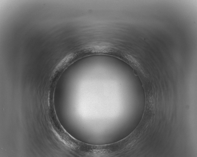 X0000080150686200612151831