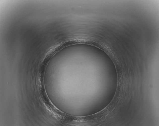 X0000080150688200612151830