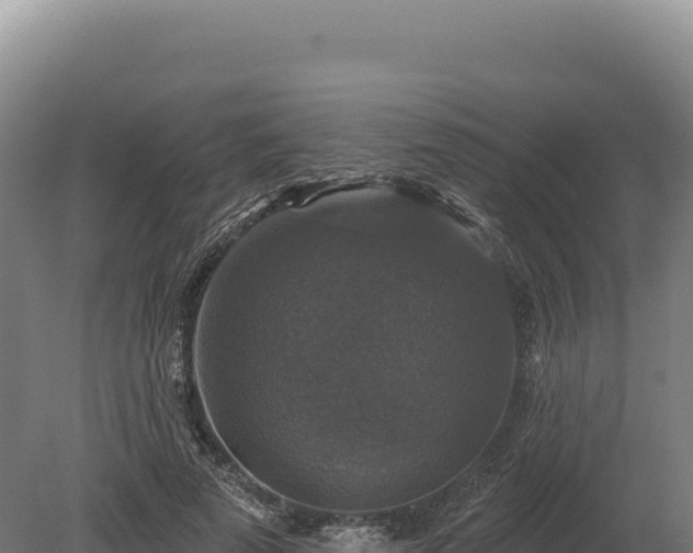 X0000080150689200612151830