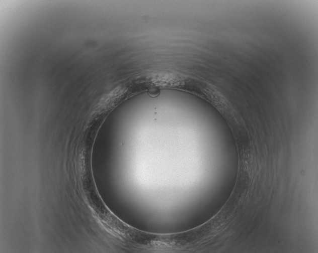 X0000080150690200612151830