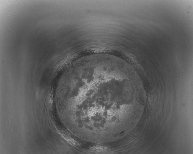 X0000080150691200612151830