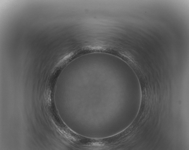 X0000080150692200612151830