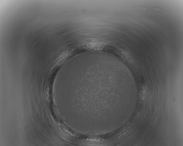 X0000080150693200612151830