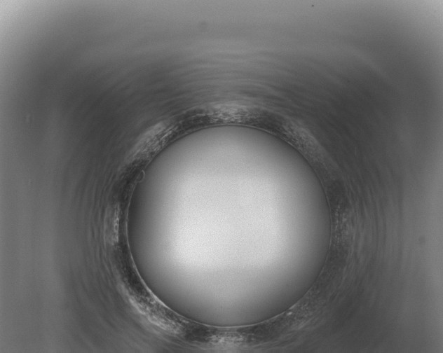 X0000080150694200612151830