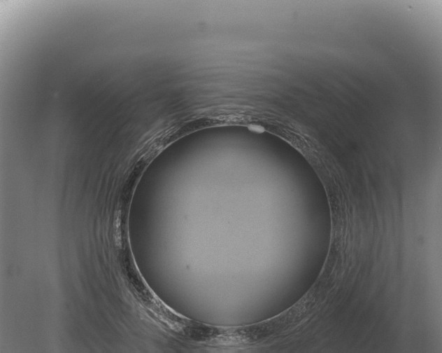 X0000080150696200612151830