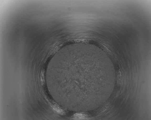 X0000080150699200612151830