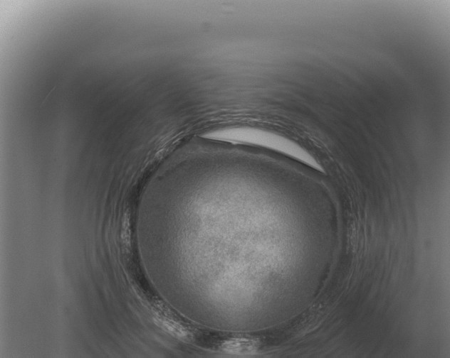 X0000080150700200612151830