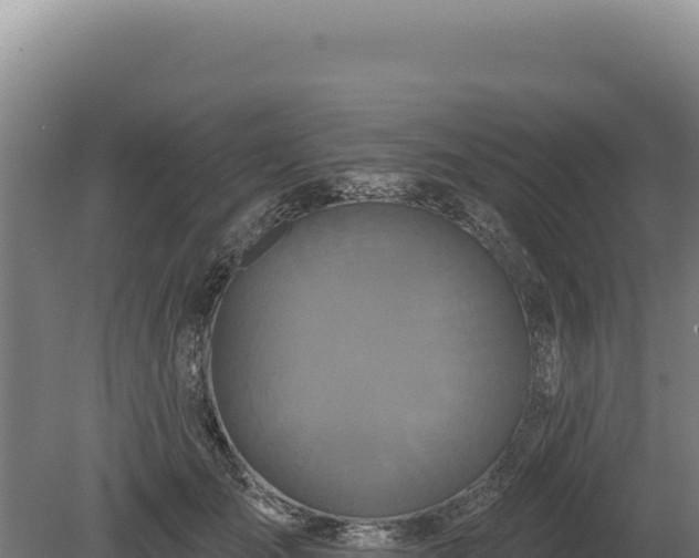 X0000080150701200612151830