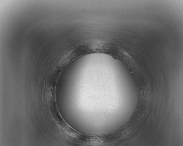 X0000080150702200612151830