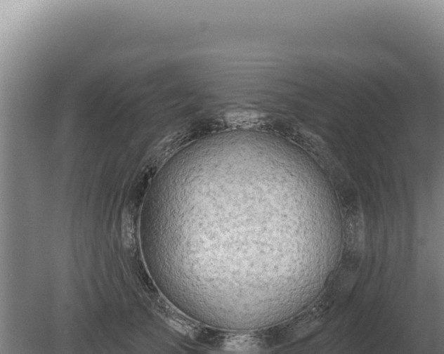 X0000080150705200612151830