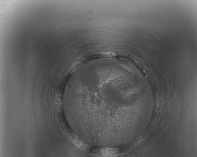 X0000080150707200612151830