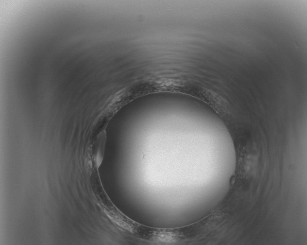 X0000080150710200612151830