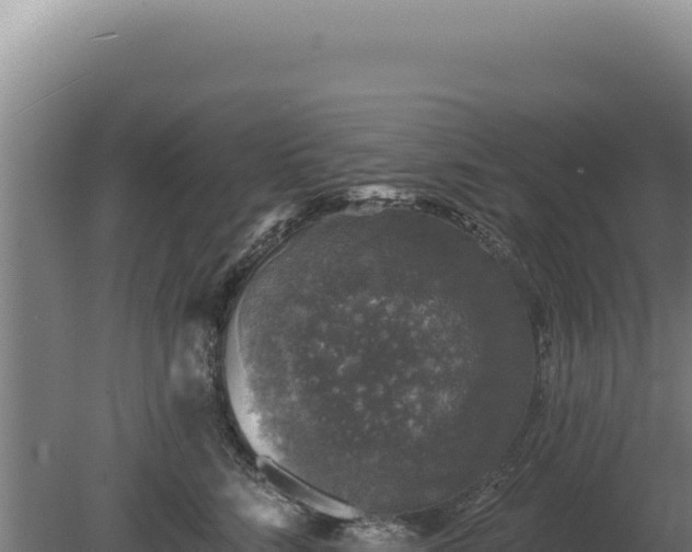 X0000080150712200612151830