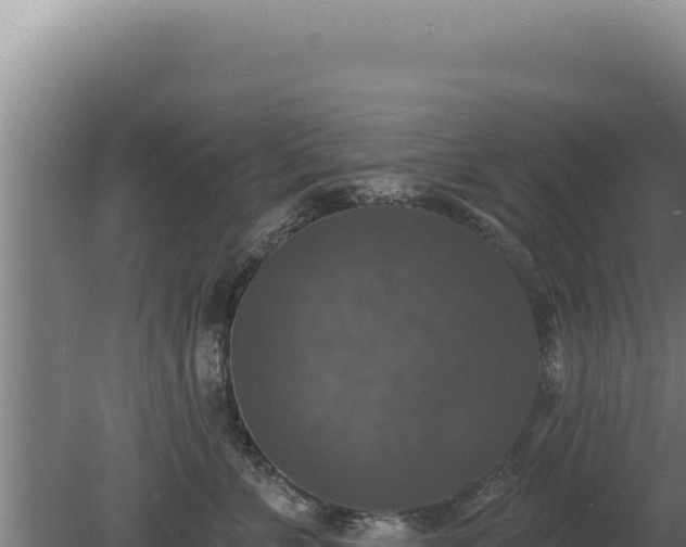 X0000080150715200612151830