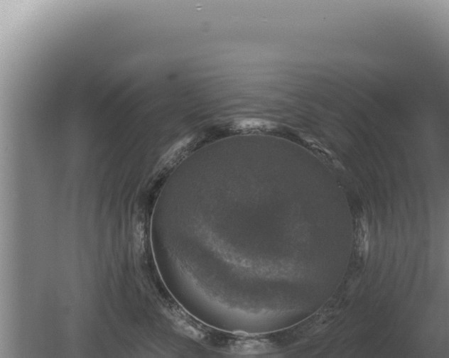 X0000080150716200612151830