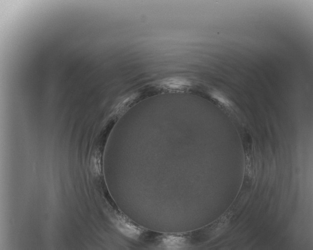 X0000080150718200612151830