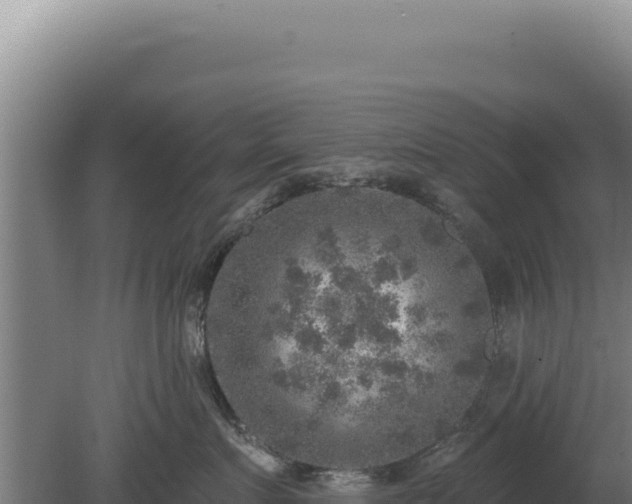 X0000080150719200612151830