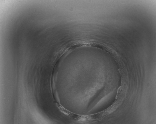 X0000080150720200612151830