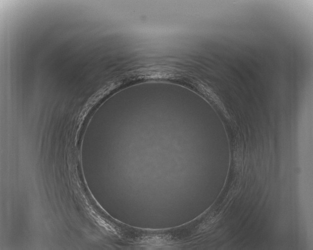 X0000080150721200612151829