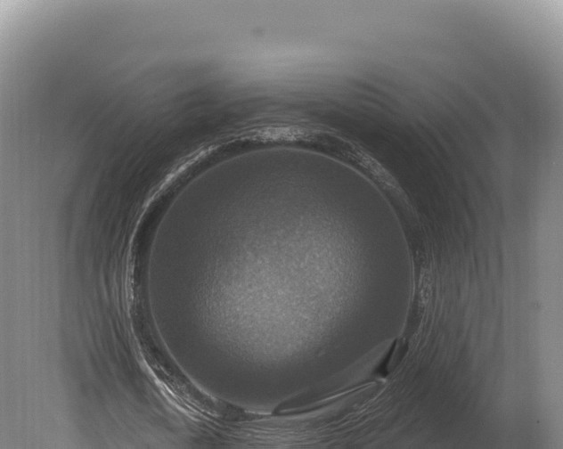 X0000080150722200612151829