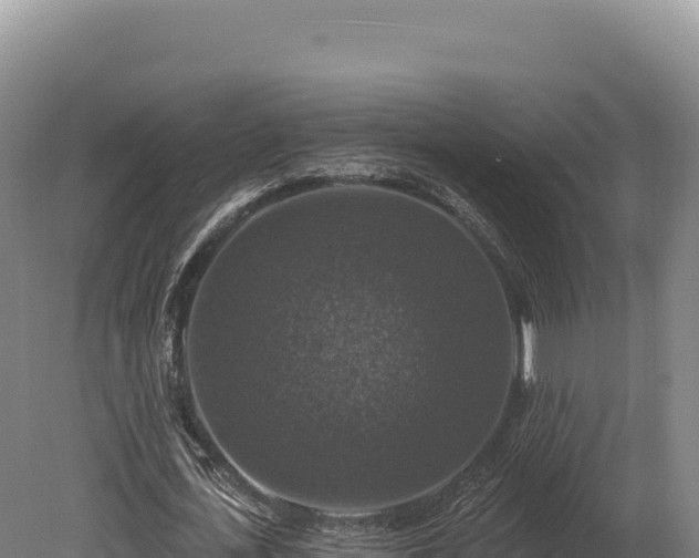 X0000080150723200612151829