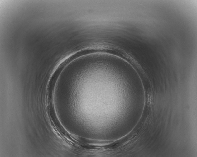 X0000080150724200612151829