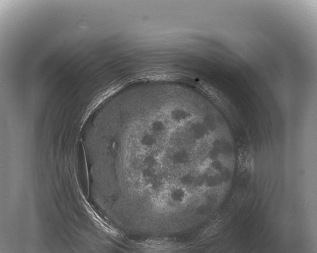 X0000080150725200612151829