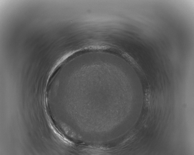 X0000080150726200612151829