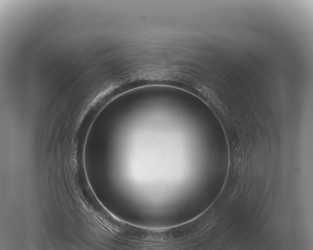 X0000080150727200612151829