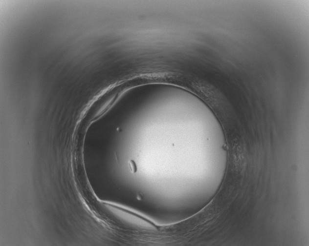 X0000080150728200612151829