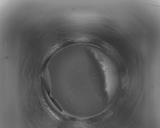 X0000080150729200612151829