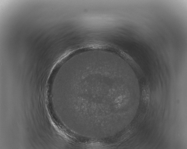 X0000080150730200612151829