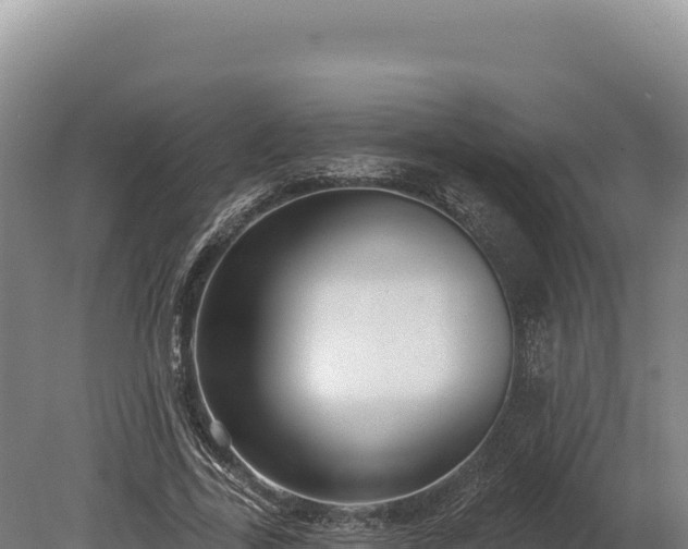 X0000080150731200612151829