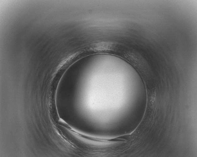 X0000080150732200612151829