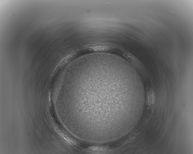 X0000080150733200612151829