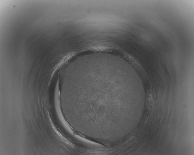 X0000080150734200612151829