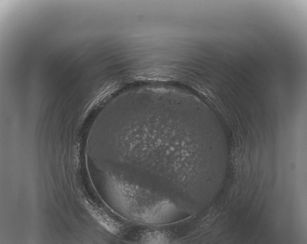 X0000080150735200612151829